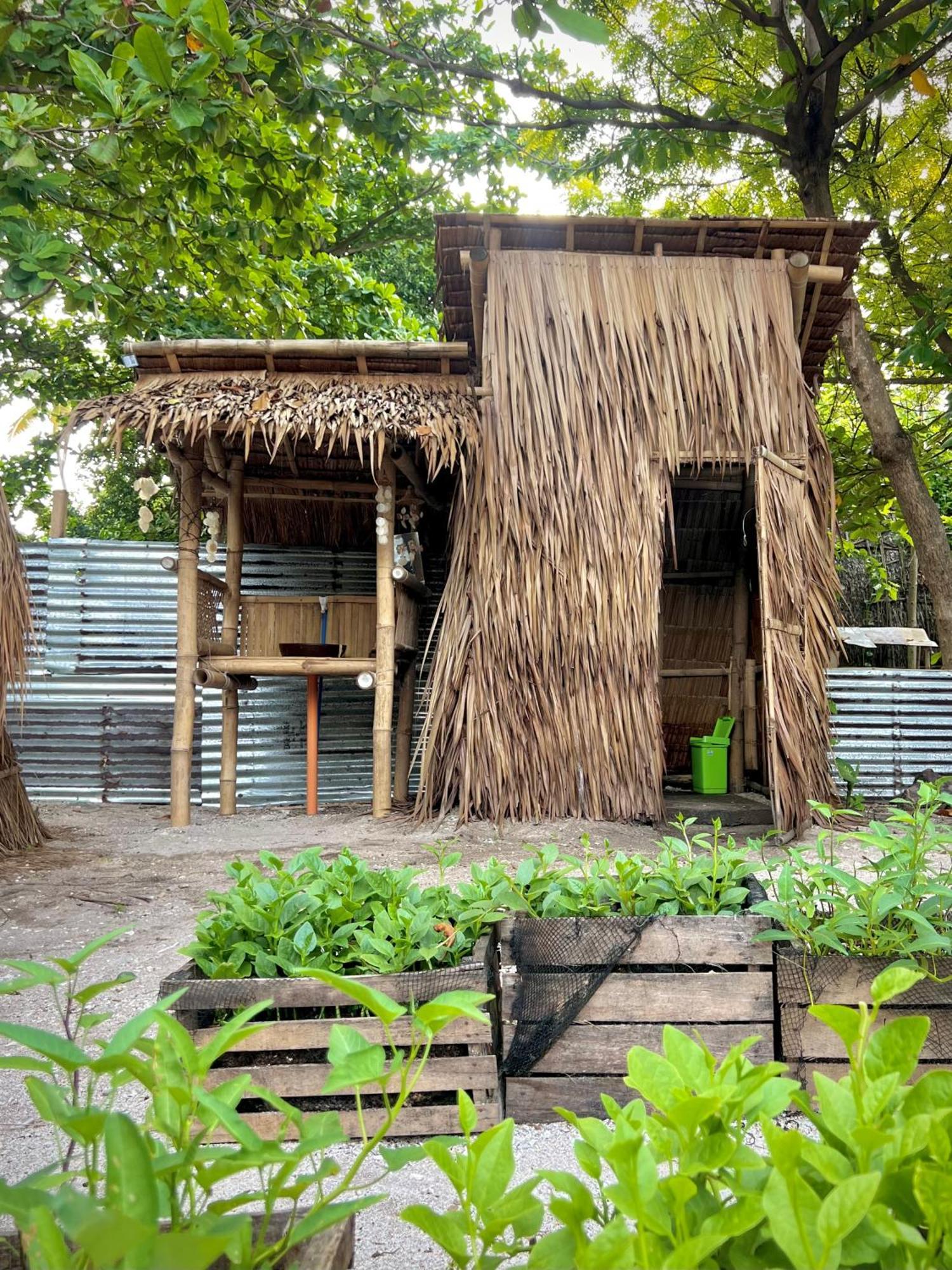 Tribal Huts Community Hostel Daanbantayan Δωμάτιο φωτογραφία