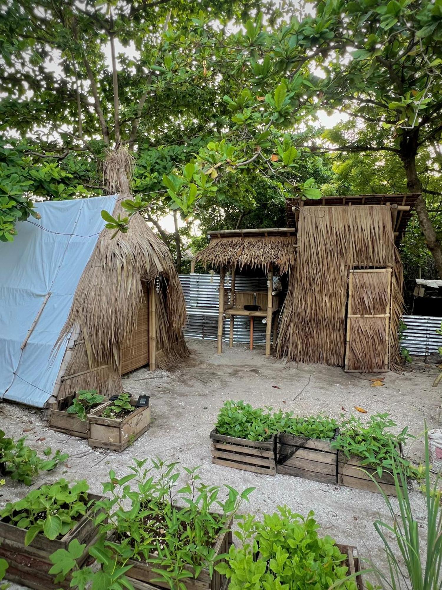Tribal Huts Community Hostel Daanbantayan Εξωτερικό φωτογραφία
